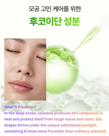 🌨️Sea Grape Jelly Mist 100ml