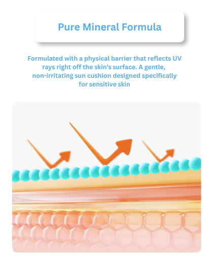 ✨Scinic Aqua Safety Mineral Sun Cushion 15g