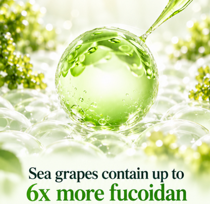 Sea Grape Pore Refining Serum